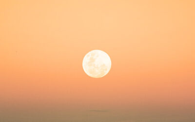 QU’EST-CE QUE LE CYCLE LUNAIRE ET COMMENT PEUT-IL T’AIDER ?